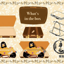 What‘s in the box A- grade